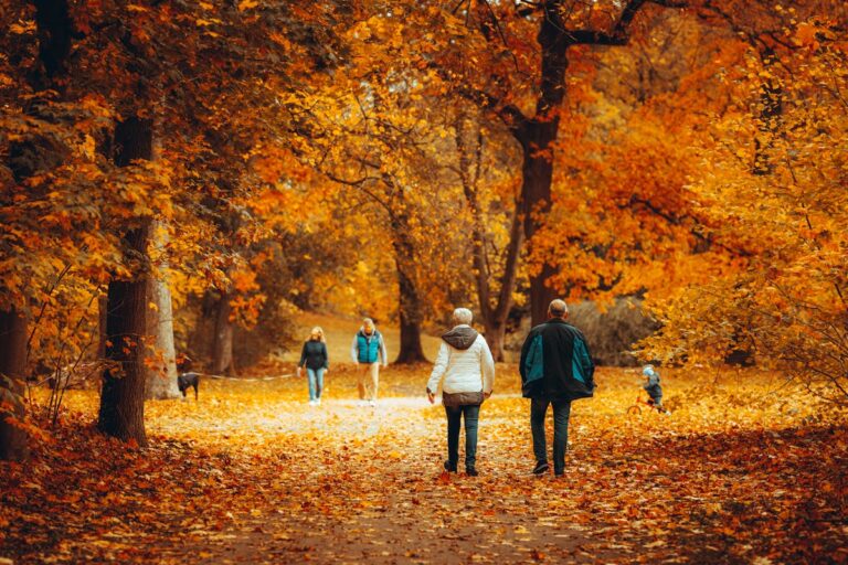 Pessoas caminhando em um parque arborizado