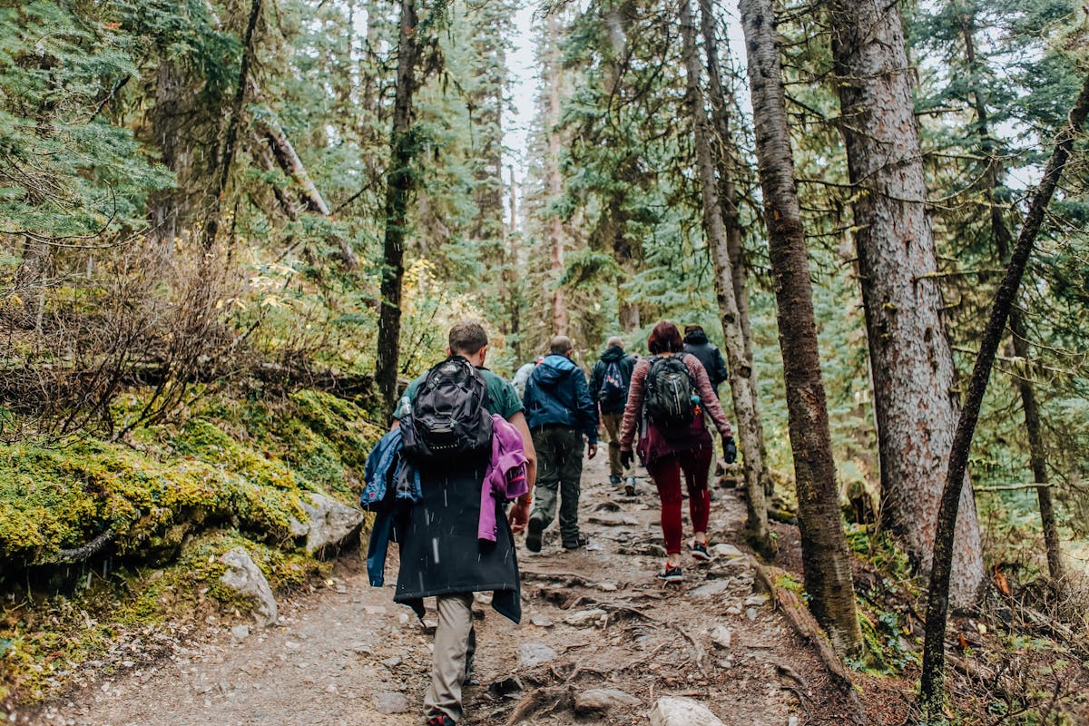 Pessoas caminhando por uma trilha em meio à natureza