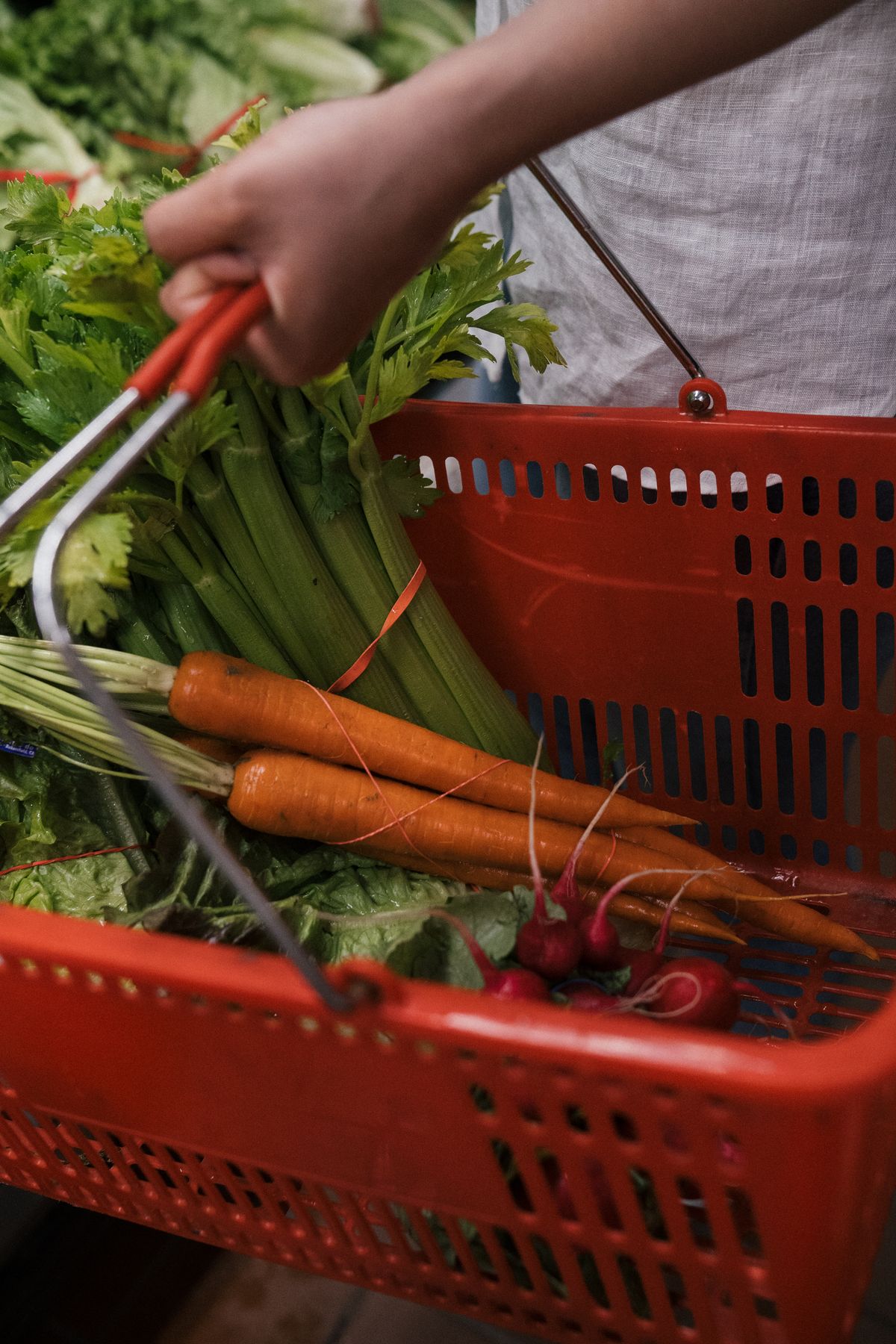 Pessoa segurando cesta de compras cheia de vegetais frescos no mercado